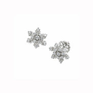 Snowflake Sparkle Jewelry Set