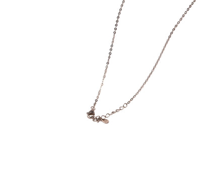 Silver Petal Shine Necklace