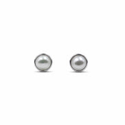 Aurelia Freshwater Pearl Stud Earrings
