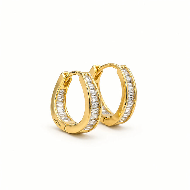 Luxe Dual-Tone Crystal Hoop Earrings